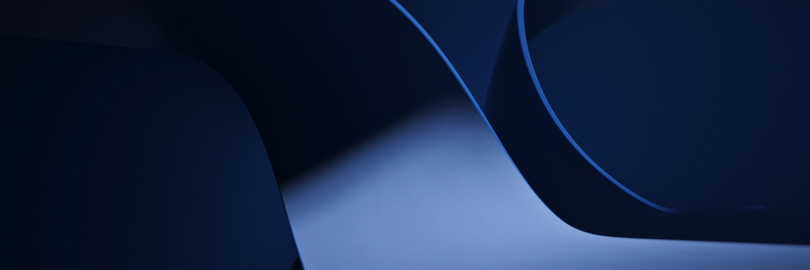 ww5 logo in blue
