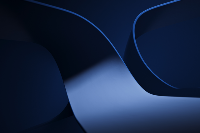 ww5 logo banner
