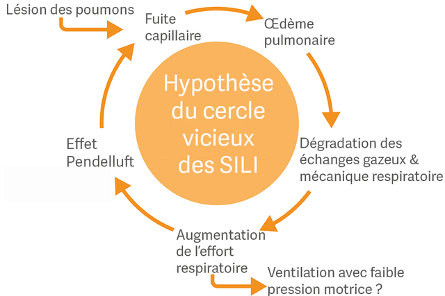 Hypothèse du cercle vicieux des SILI