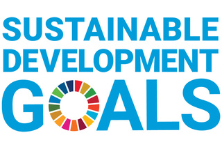 Text reading Sustainable Development Goals with a colorful circular wheel symbolizing global goals.