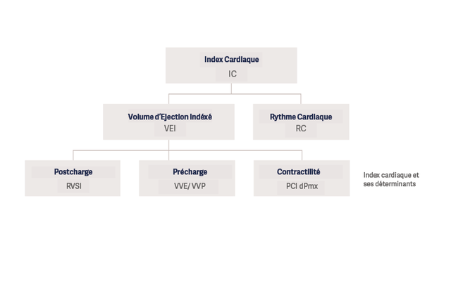 Organigramme de l'index cardiaque et de ses déterminants dont le volume d'éjection indexé, la précharge, la postcharge, la  contractilité et le rythme cardiaque