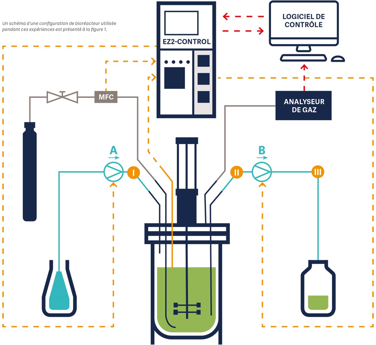 Schéma de l'installation d'un bioréacteur Ez2-Control avec logiciel de contrôle, analyseur de gaz et composants associés.