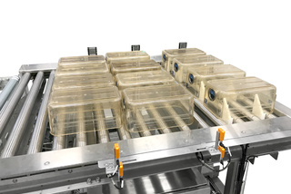 ww5 Cage Handling System 