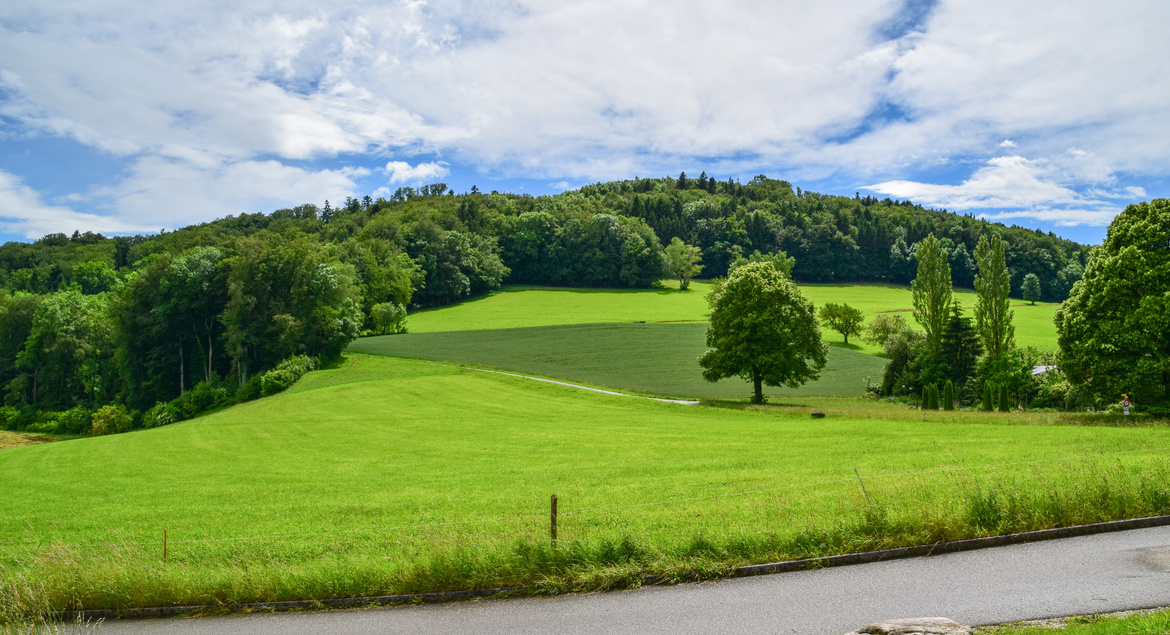 Üppig grüner Hügel mit Bäumen unter einem teilweise bewölkten Himmel, eine Straße im Vordergrund.