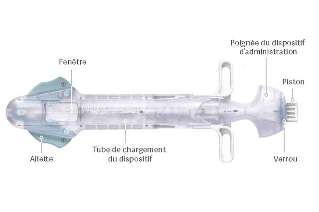 chargeur de joints et dispositif d'administration