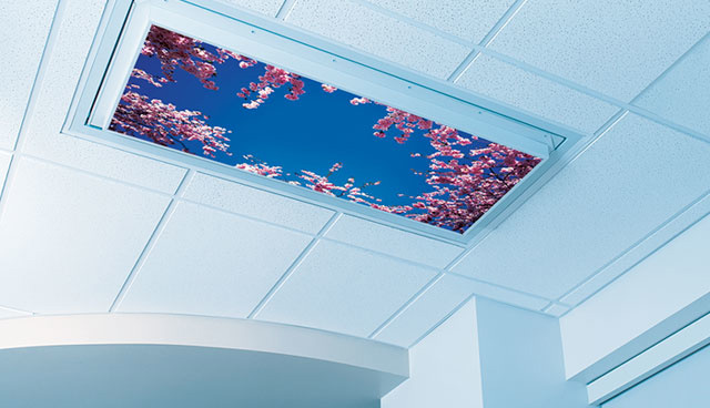 ww5 LED Concealed Lighting System