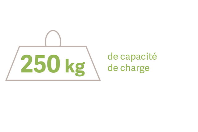 Image d'un poids étiqueté « 250 kg » à côté d'un texte indiquant « de capacité de charge ».