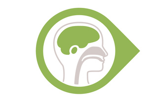 Illustration of a human head profile showing the brain in a green circular design.