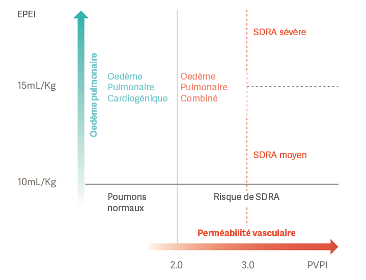 Graphique montrant les corrélations entre oedème pulmonaire et perméabilité vasculaire