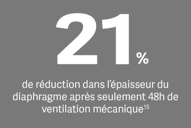 Le texte indique que le diaphragme a diminué de 21% après 48 heures de ventilation mécanique.