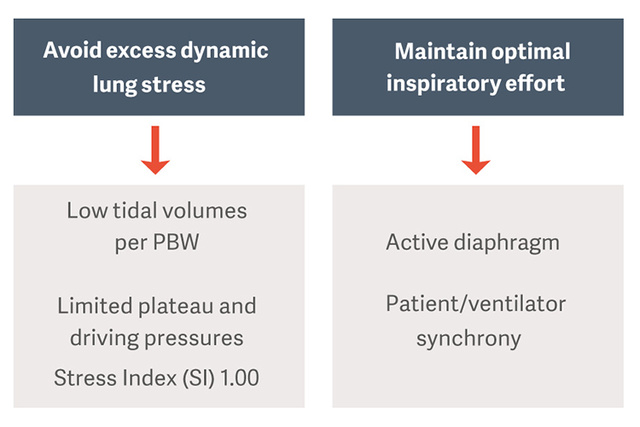 Flowchart on lung stress management: avoid excess stress with low tidal volumes and optimal inspiratory effort.