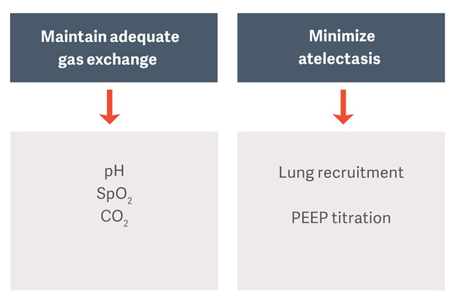 Flowchart with two main goals: Maintain adequate gas exchange and Minimize atelectasis, detailing methods.
