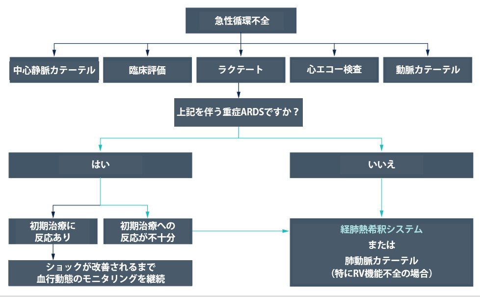 循環血液量を把握する重要性 画像