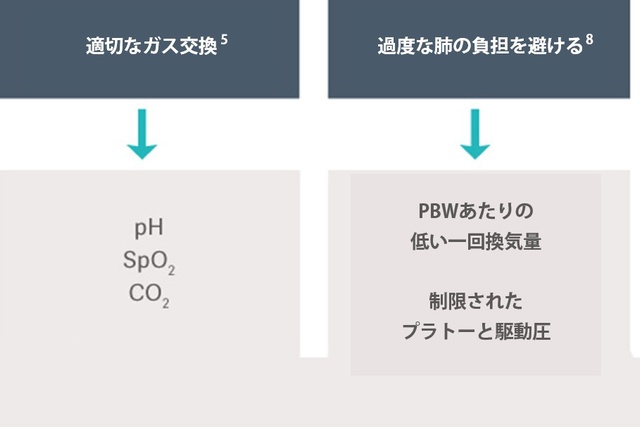 ARDS 換気の目的 画像 