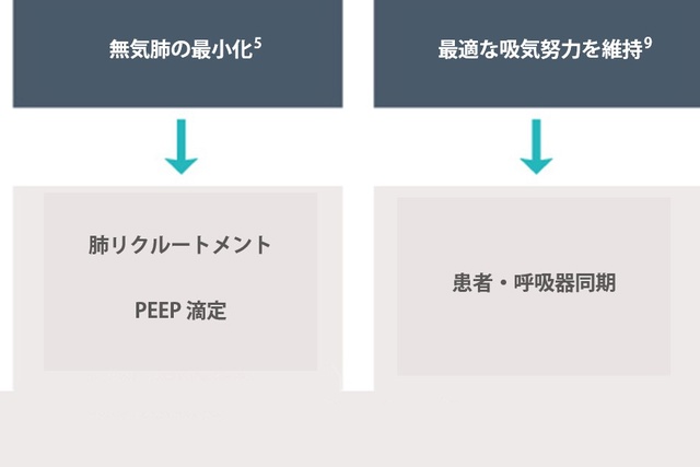 ARDS 換気の目的 画像